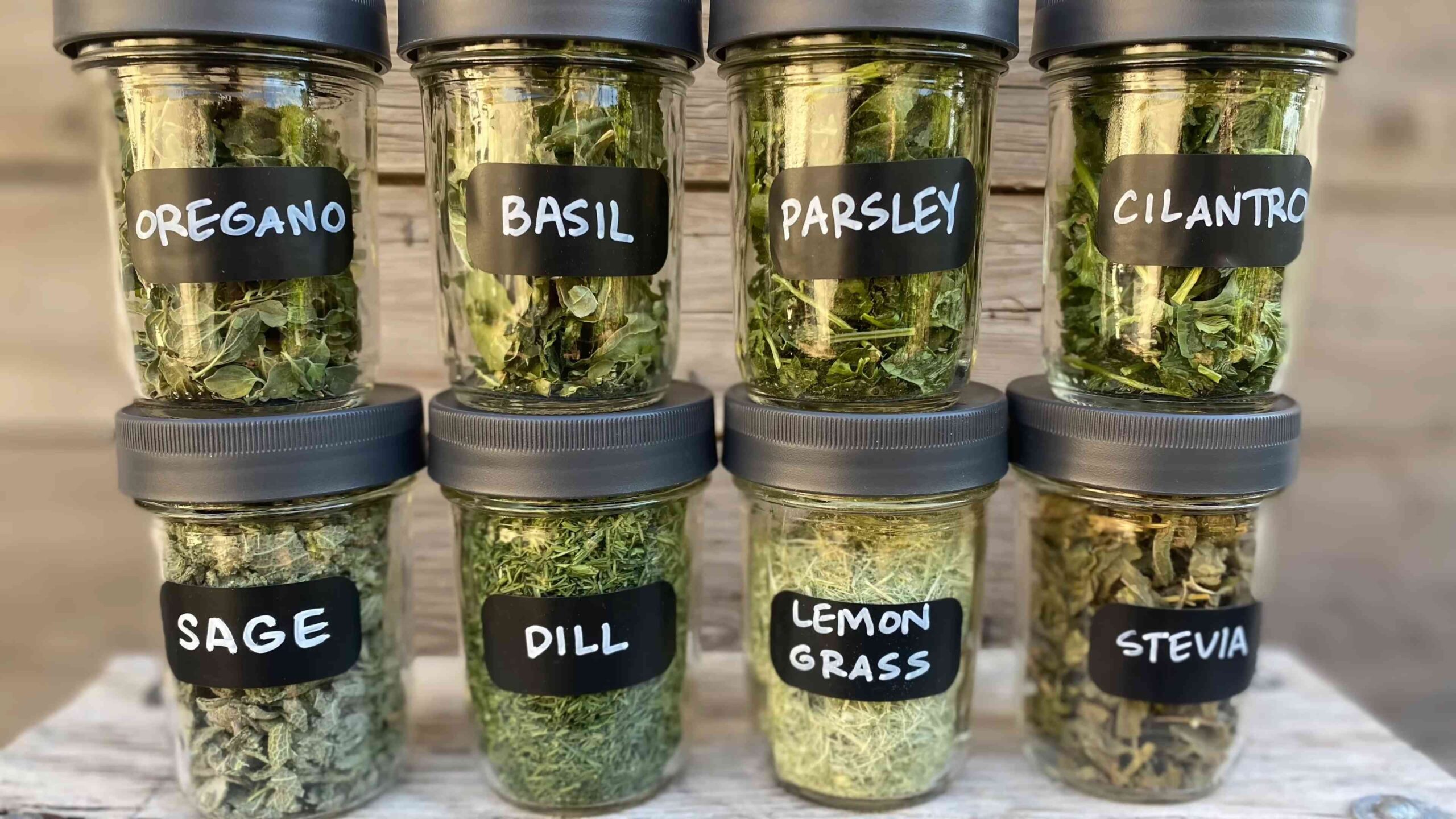 Best herbs for summer garden