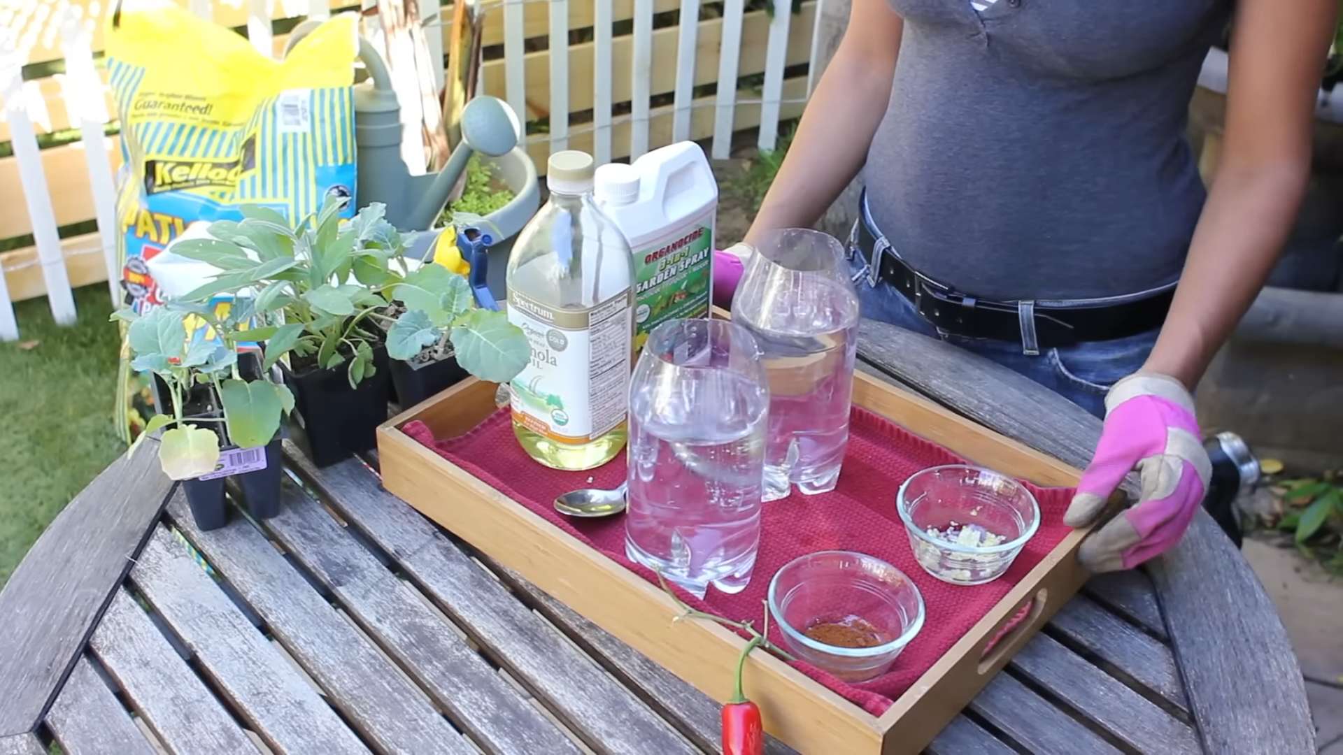 Organic Insecticides Vegetable Garden