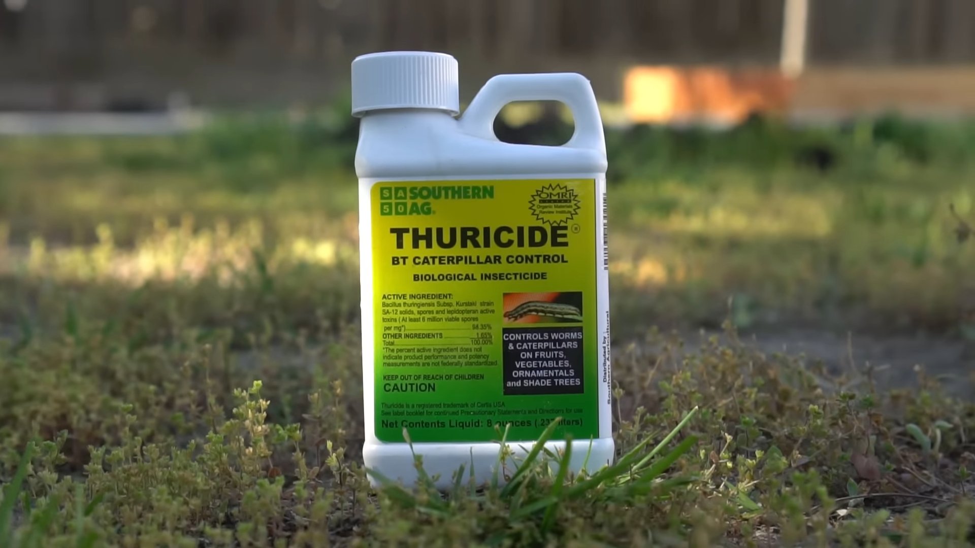 Thuricide caterpillar control for plants